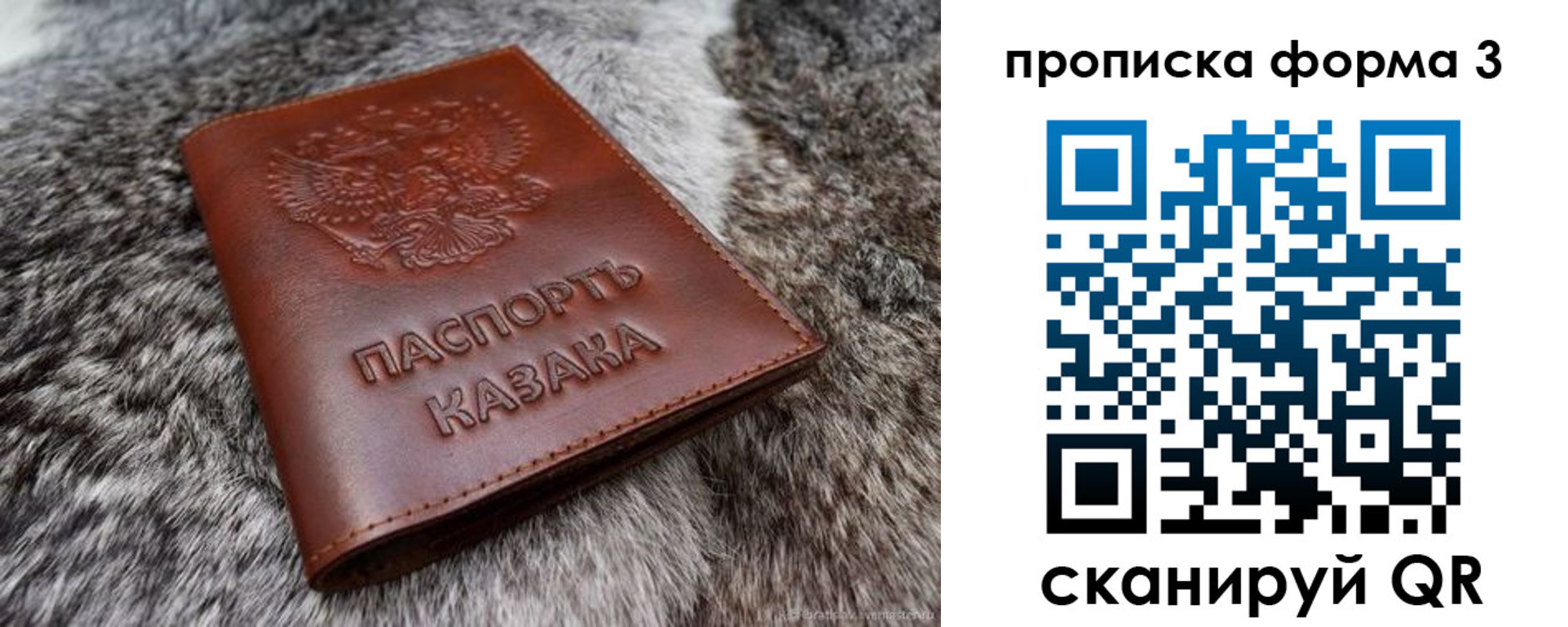 временная прописка в Похвистнево